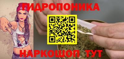 ГАЛЛЮЦИНОГЕННЫЕ ГРИБЫ Пыть-Ях