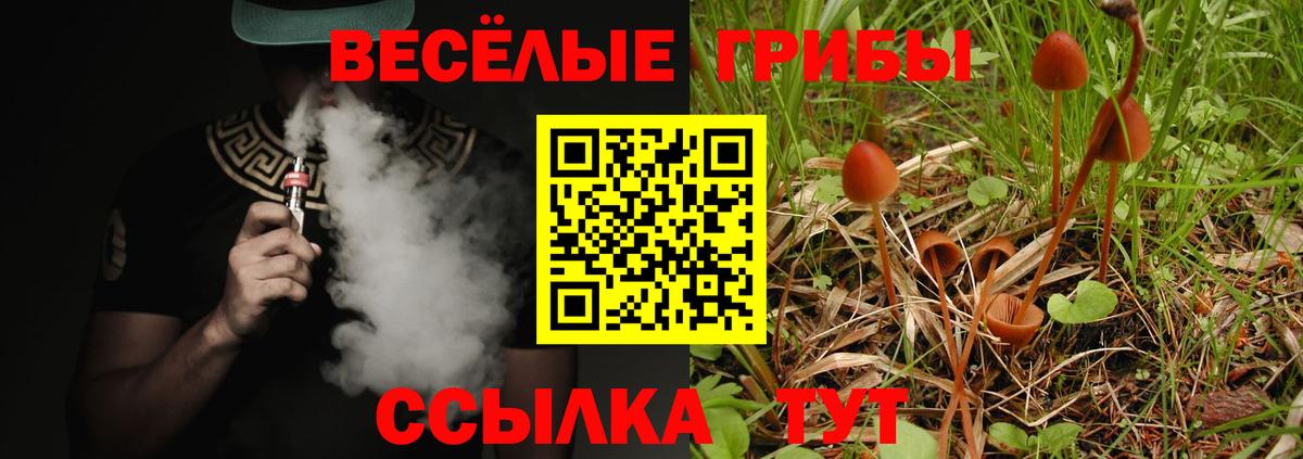 Псилоцибиновые грибы ЛСД  Вход с VPN  Богородск  Галлюциногенные грибы Psilocybe 